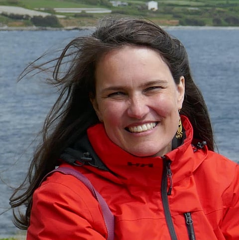 Ana Ferreira oordenou o projeto UPFLOW, implicado no estudo da formação de sismos e vulcões no interior da Terra.