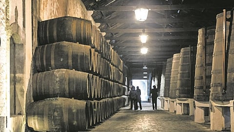 O país está atualmente em época de vindimas. O ano foi marcado por um verão quente e por doenças como o míldio