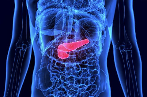 Estudo poderá facilitar deteção precoce do cancro do pâncreas