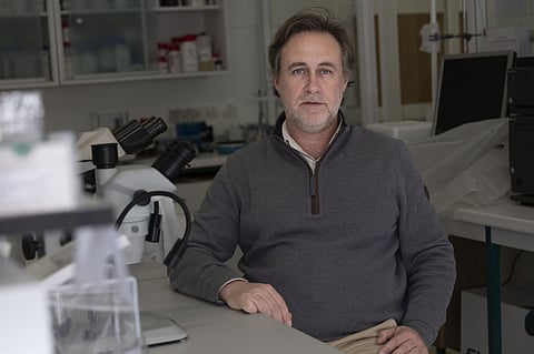 Nuno Empadinhas é microbiologista e investigador no Centro de Neurociências e Biologia Celular da Universidade de Coimbra. -- Foto: Pedro Correia/Global Imagens