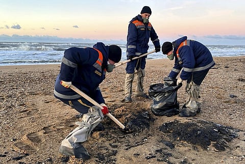 Mais de 30 golfinhos morreram devido a derrame de petróleo no Mar Negro