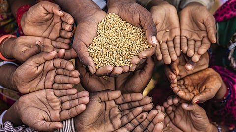Mais de 700 milhões de pessoas enfrentaram a fome em 2023