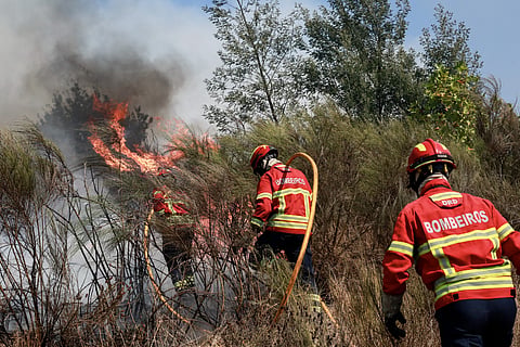Câmara de Tábua atribui medalha de mérito aos três bombeiros que morreram