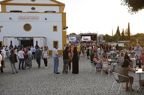 Na adega para assistir a concertos e degustar vinhos