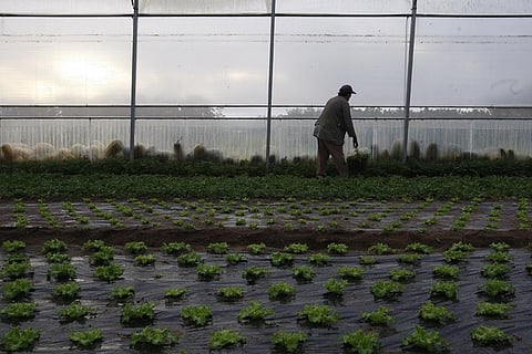 UE quer aumentar em 1% taxas a importações de fertilizantes agrícolas
