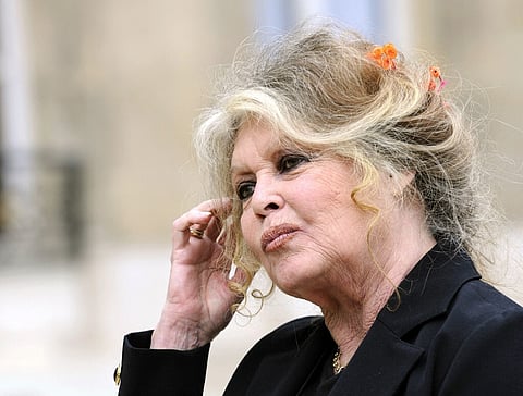Atriz francesa Brigitte Bardot alerta Erdogan para ameaça sobre cães vadios na Turquia