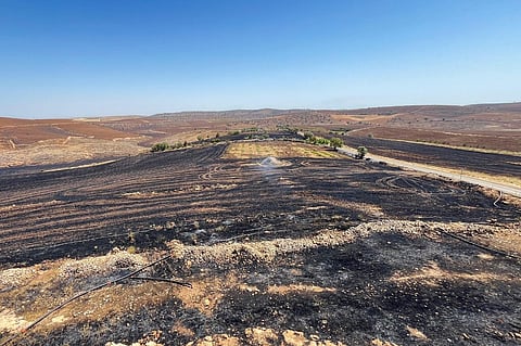 Novo balanço de 11 mortos e dezenas de feridos em incêndio na Turquia