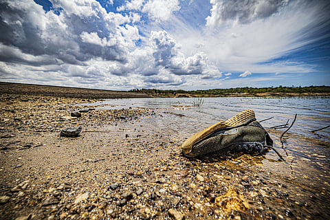 Seca: Situação melhora mas Algarve e litoral alentejano continuam impactados, alerta a CAP