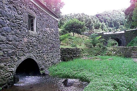 Prorrogado prazo de candidaturas para reestruturação das explorações agrícolas nos Açores