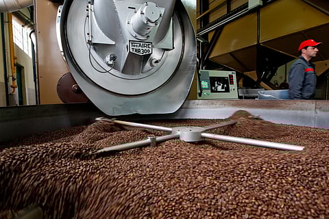 Organização Internacional do Café projetou um incremento homólogo de 5,8% na produção global de café em 2023/24, para 178 milhões de sacas.