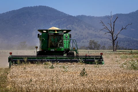 Comissão Europeia quer ajudas ao setor agrícola aprovadas nesta legislatura