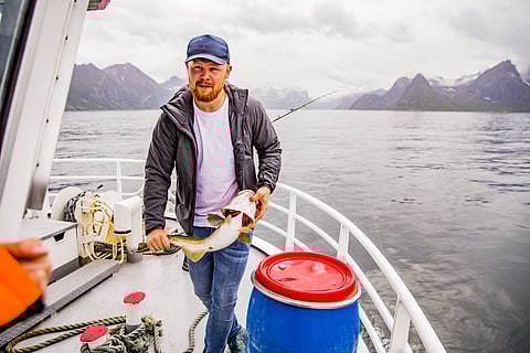 Em 1992, pescavam-se 120 mil toneladas.