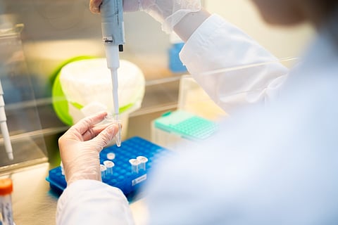 Laboratório da WeNou, onde a empresa faz as análises. FOTO: Direitos reservados