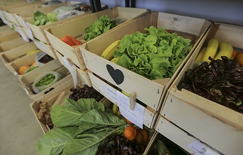 Estão previstos cortes de 35% nas ajudas.