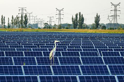 A energia solar representa 10% do consumo de energia elétrica em Portugal.