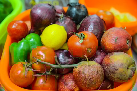 Empresa que combate desperdício salvou 25 milhões de refeições em 2023