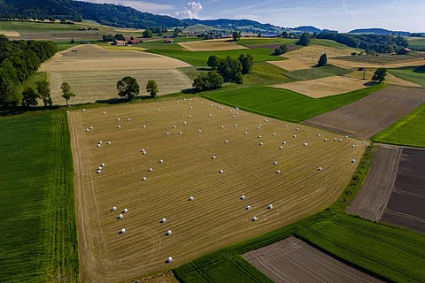 Governo publica em breve portaria que beneficia mais 100 mil agricultores