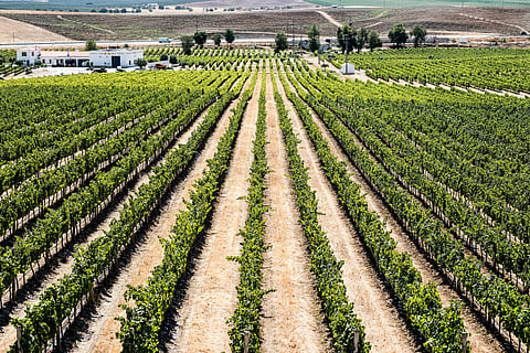 A zona do Alqueva é um chamariz devido aos recursos hídricos. Foto: Orlando Almeida/Global Imagens