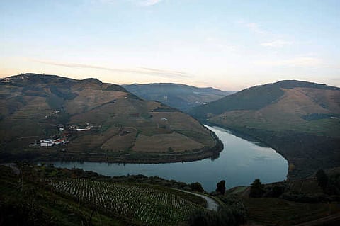 Viticultores do Douro preocupados com venda de uvas na próxima vindima