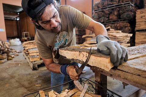 Gerardo Santos / Global Imagens