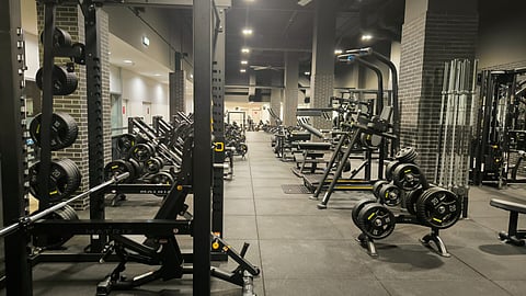 O ginásio do Dragão vai ter 400 metros quadrados dedicados a treinos de força. Foto: Direitos Reservados