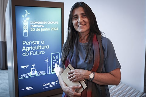 Felisbela Torres Campos, presidente da CropLife. Foto: Paulo Spranger/Global Imagens