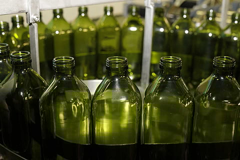 Produção de azeite em 2024 com 2.ª campanha mais produtiva de sempre e amêndoa bate recorde