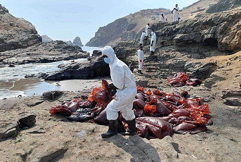 Imagem das limpezas das praias peruanas tirada a 19 de janeiro de 2022