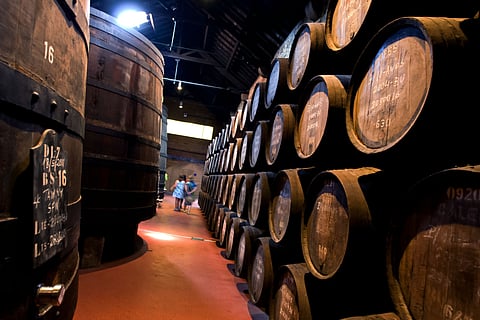 Exportações de vinho sobem 1,7% para 230 milhões de litros até agosto