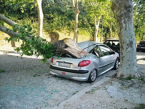 Foto: Global Imagens