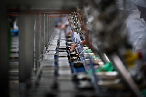 Mar 2030 lança aviso de 20 milhões para PME de transformação de pesca