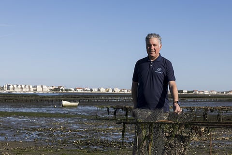 Isidro Blanquet fotografado numa aquacultura da Ria de Aveiro, na Gafanha da Encarnação. FOTO: Artur Machado/Global Imagens