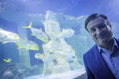 A manutenção do aquário custa dois milhões de euros por ano, revela o diretor do Sea Life Porto, Rui Ferreira.