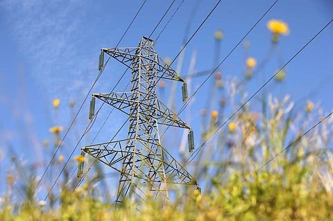 Segundo leilão da E-redes regista sete vezes mais licitações que o primeiro