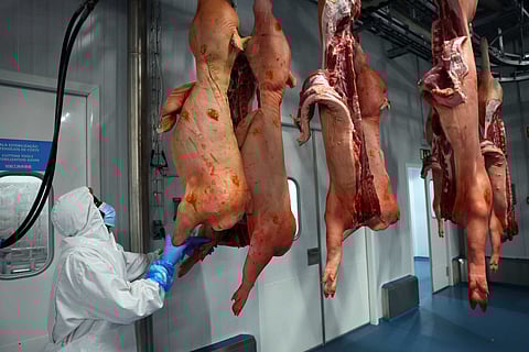 A carne de porco foi dos produtos com maior agravamento de preços em 2023