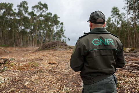 Governo prorroga até 31 de maio prazo para limpeza de terrenos rurais e florestais