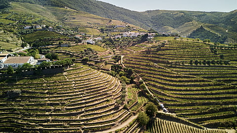 Quinta do Retiro Novo, no Douro., uma das que vai beneficiar de investimento da Winestone. Foto: Direitos Reservados