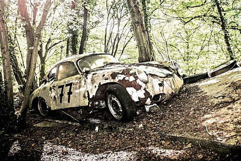 A estranha beleza de uma floresta cheia de clássicos abandonados