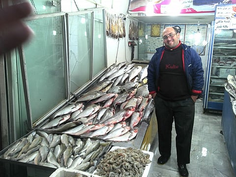 Não há cães no Irão, mas há touros no trânsito