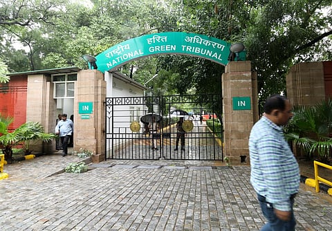 वसंत विहार में पेड़ों की अवैध कटाई-छंटाई के मामले पर एनजीटी ने एमसीडी से मांगा जवाब