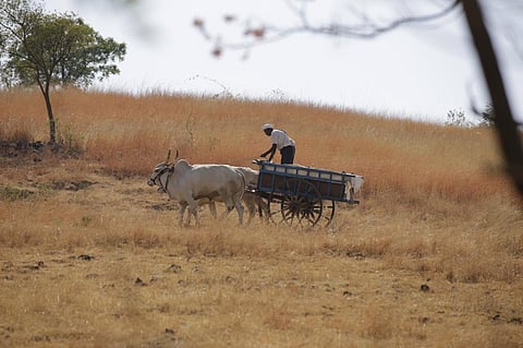 Credit: Vikas Choudhary