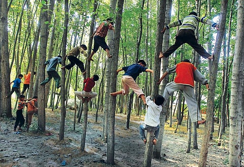 फोटो: रॉयटर्स