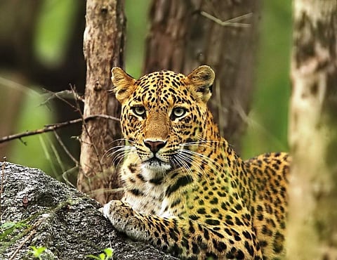 Photo : Ramki Sreenivasan