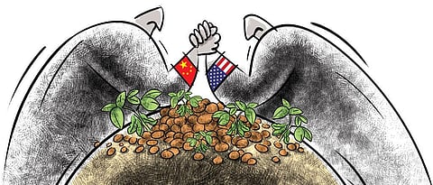 तारिक अजीज / सीएसई