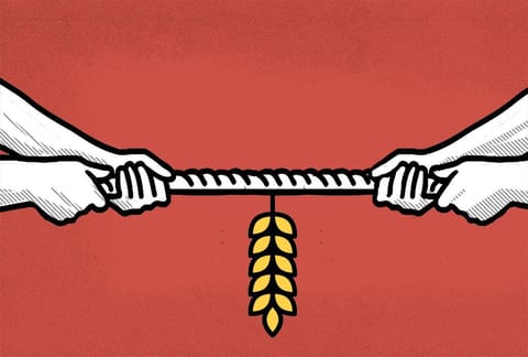 संजीत / सीएसई