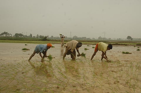 Photo : Agnimirh Basu