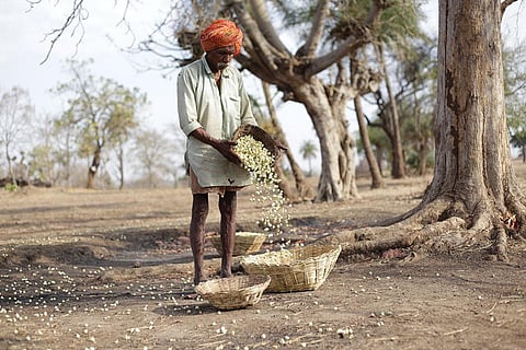 श्रीकांत चौधरी / सीएसई