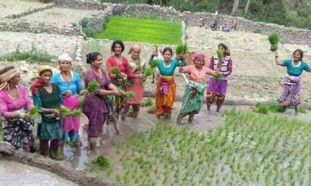 फाइल फोटो: त्रिलोचन भट्ट