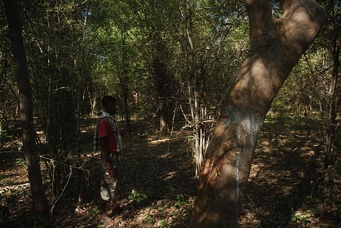 Photo: Kumar Shambhav Shrivastava