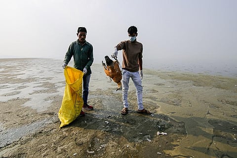 राजस्थान की सांभर झील में प्रवासी पक्षियों की मौत जारी है, लेकिन झील धीरे-धीरे अपनी मौत मर रही है। फोटो: विकास चौधरी